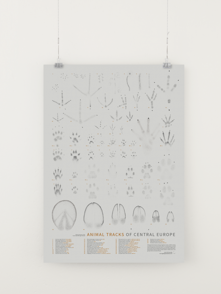 Poster "Animal Tracks of Central Europe"