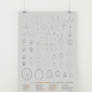 Poster "Animal Tracks of Central Europe"
